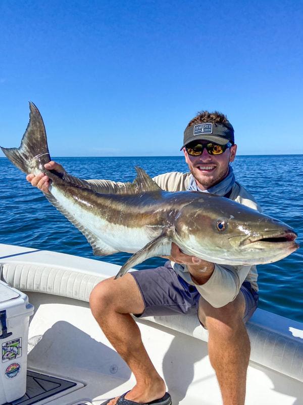 Naples Inshore and Offshore Fishing Reports - Naples Inshore